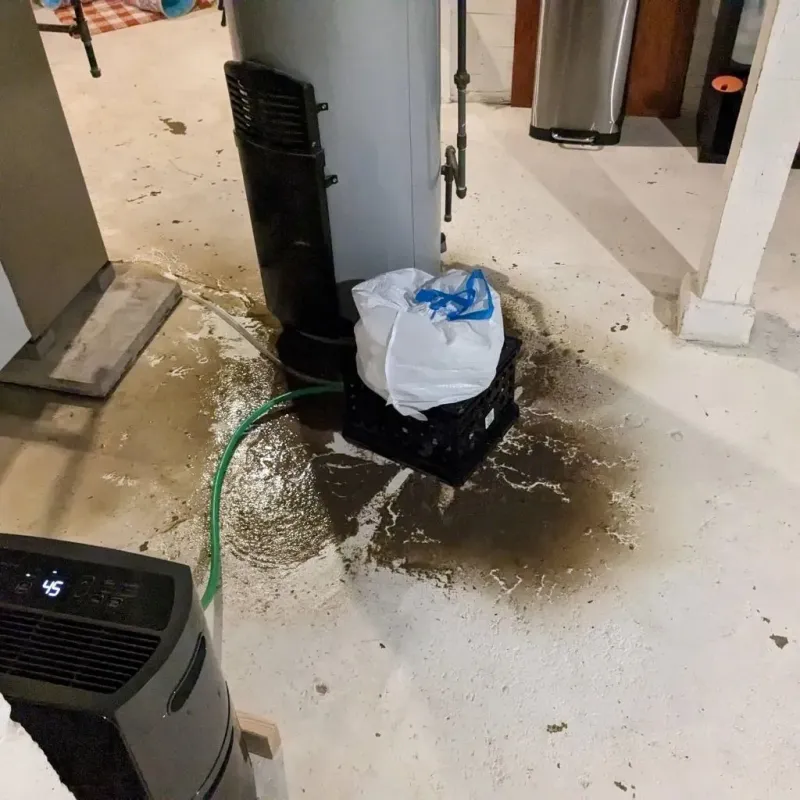 Sewage Backup Cleanup Service in Fortuna, CA